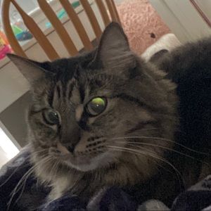 Meet your Posher, Jenae